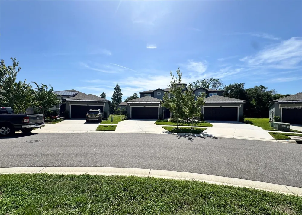 345 VILLA CORTE DRIVE Lutz, FL 33549