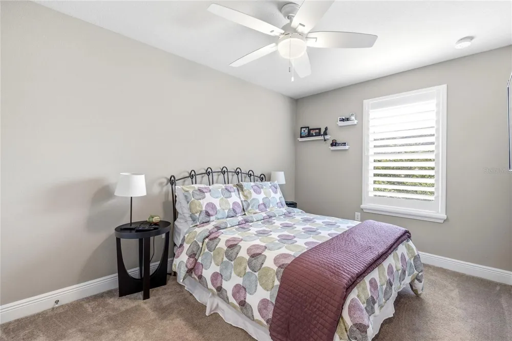 18892 ULMUS STREET Lutz, FL 33558