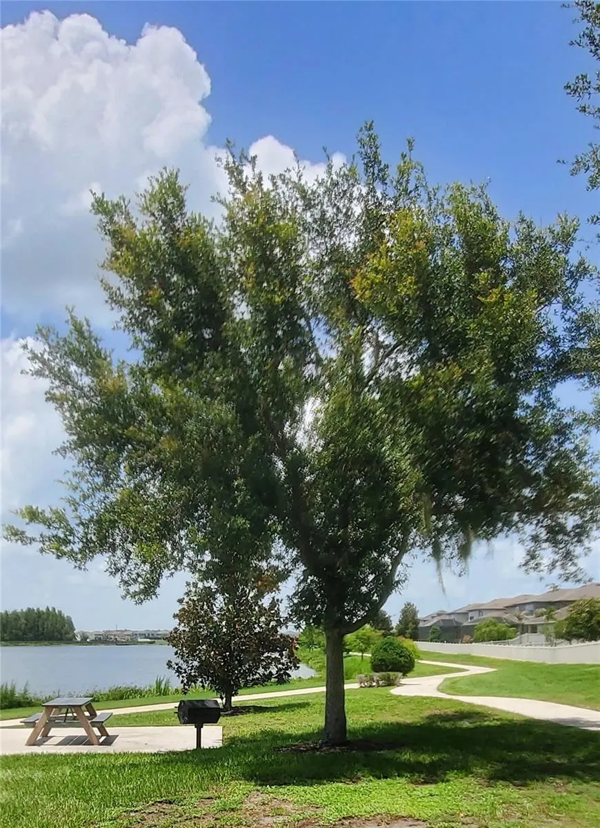 18892 ULMUS STREET Lutz, FL 33558