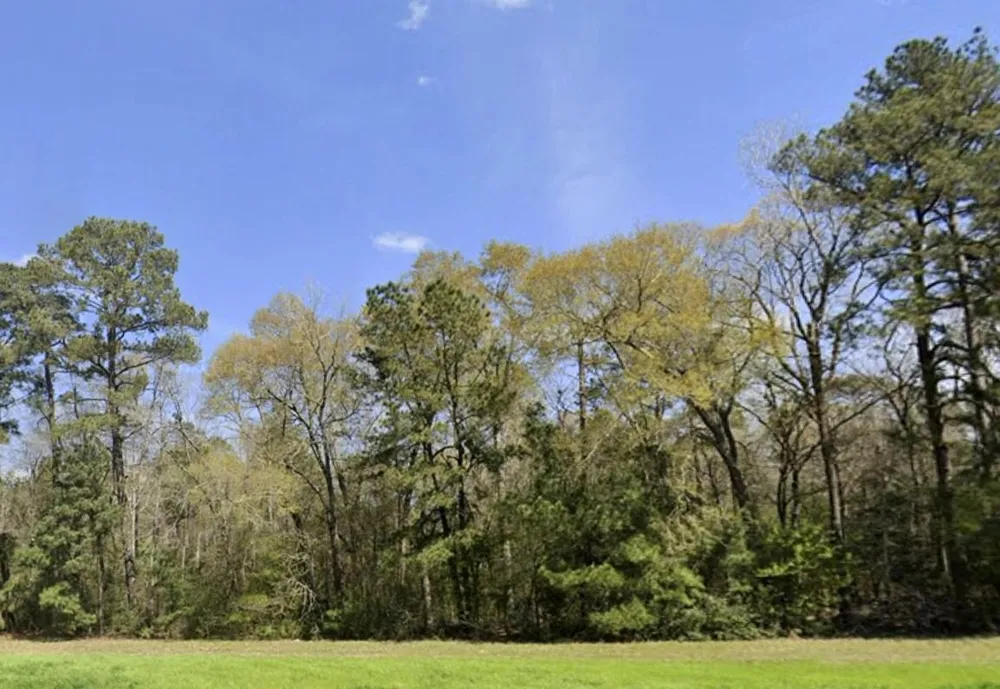 115 Bunkhouse Road New Waverly, TX 77358