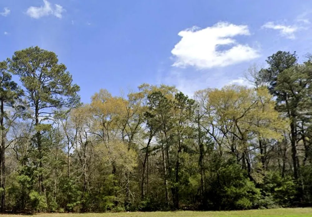 115 Bunkhouse Road New Waverly, TX 77358