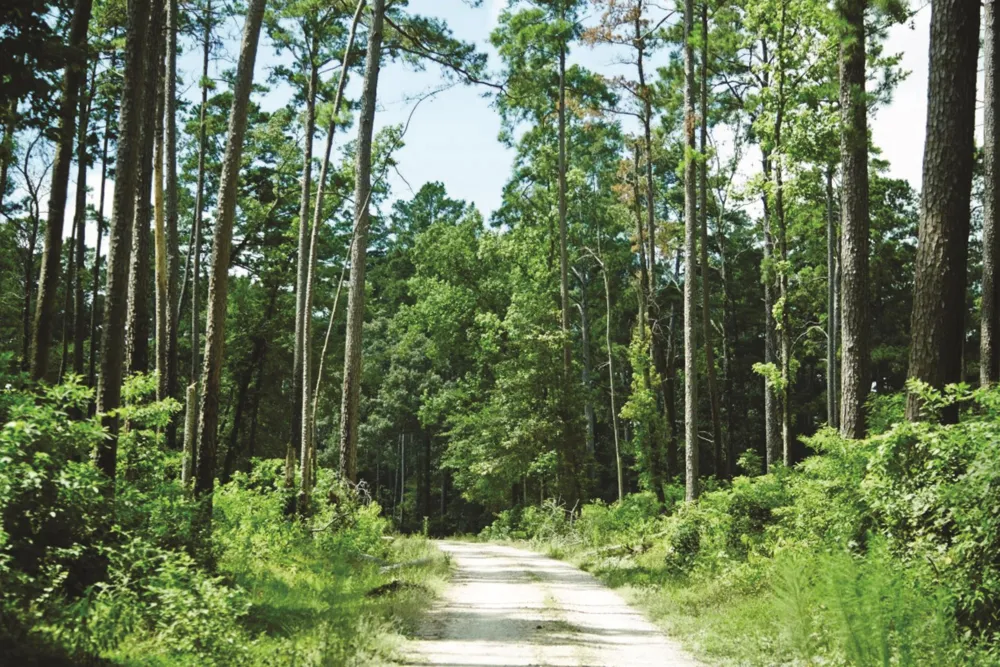 115 Bunkhouse Road New Waverly, TX 77358