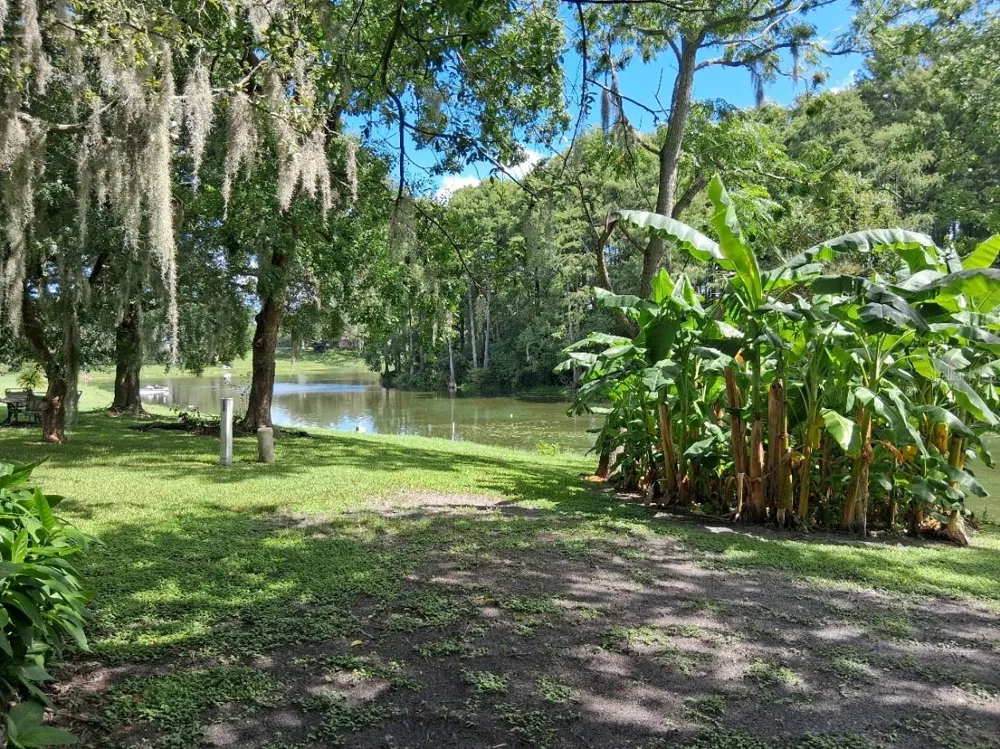 12406 WEATHERSTONE ROW Hudson, FL 34667