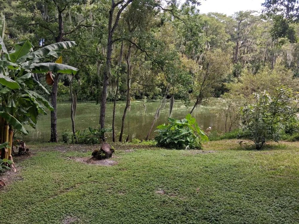 12406 WEATHERSTONE ROW Hudson, FL 34667