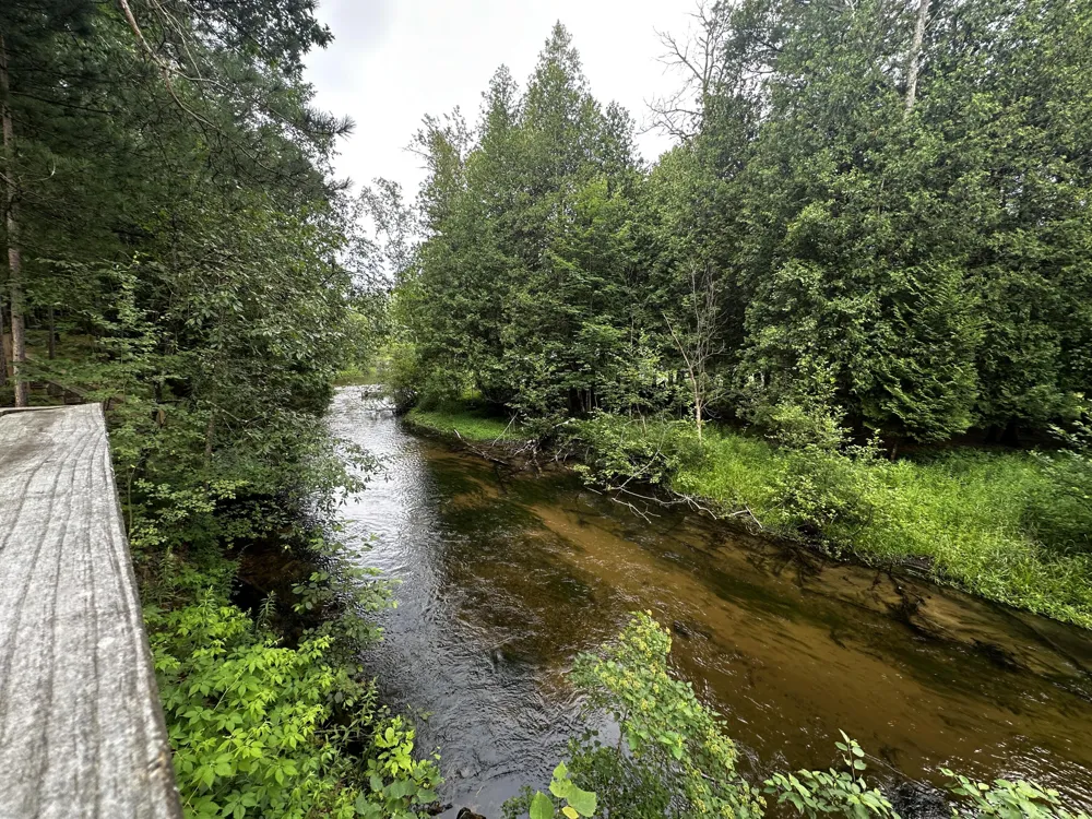 9629 Kings Point Irons, MI 49644