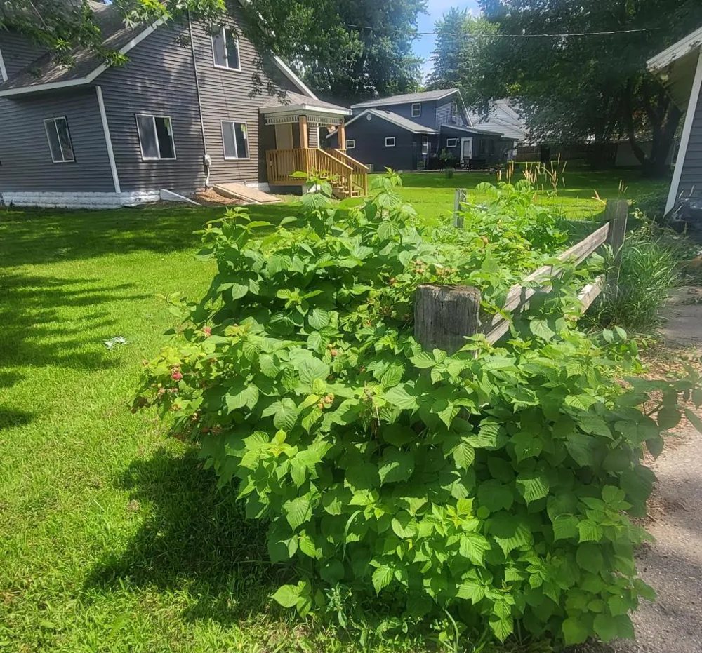 409 2nd Avenue S Long Prairie, MN 56347