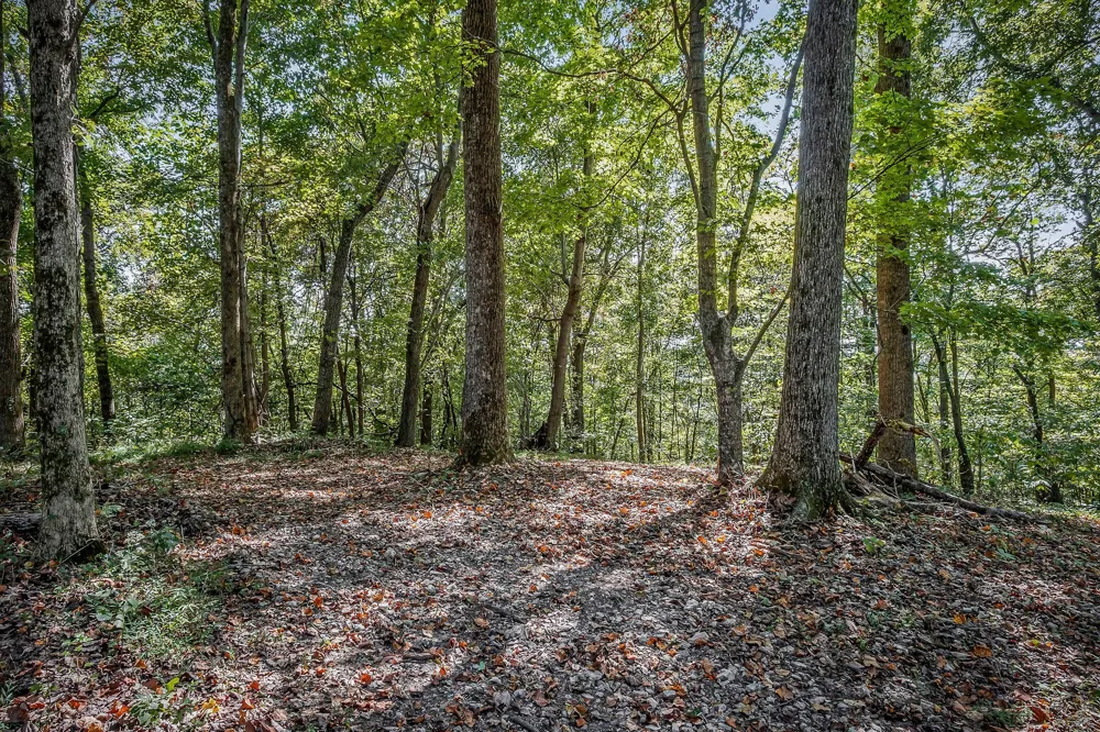 43 Moss Bend Ln Lancaster, TN 38569