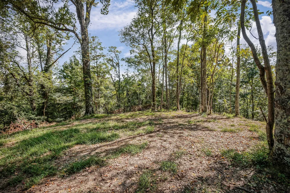 43 Moss Bend Ln Lancaster, TN 38569