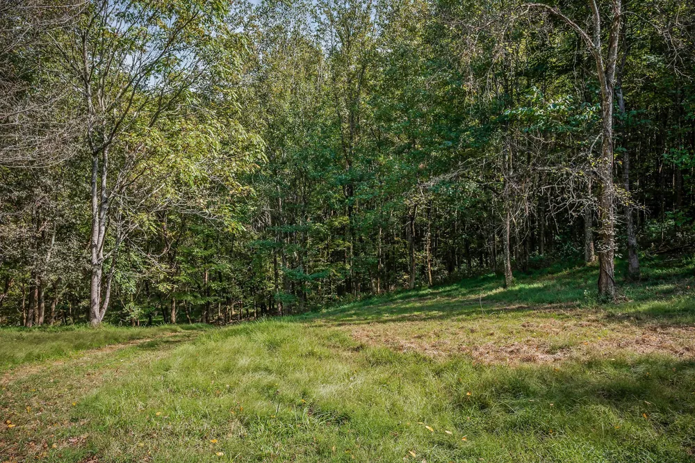43 Moss Bend Ln Lancaster, TN 38569