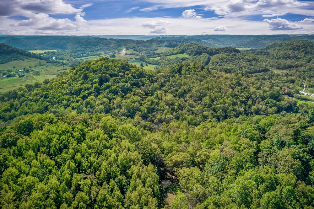 43 Moss Bend Ln Lancaster, TN 38569