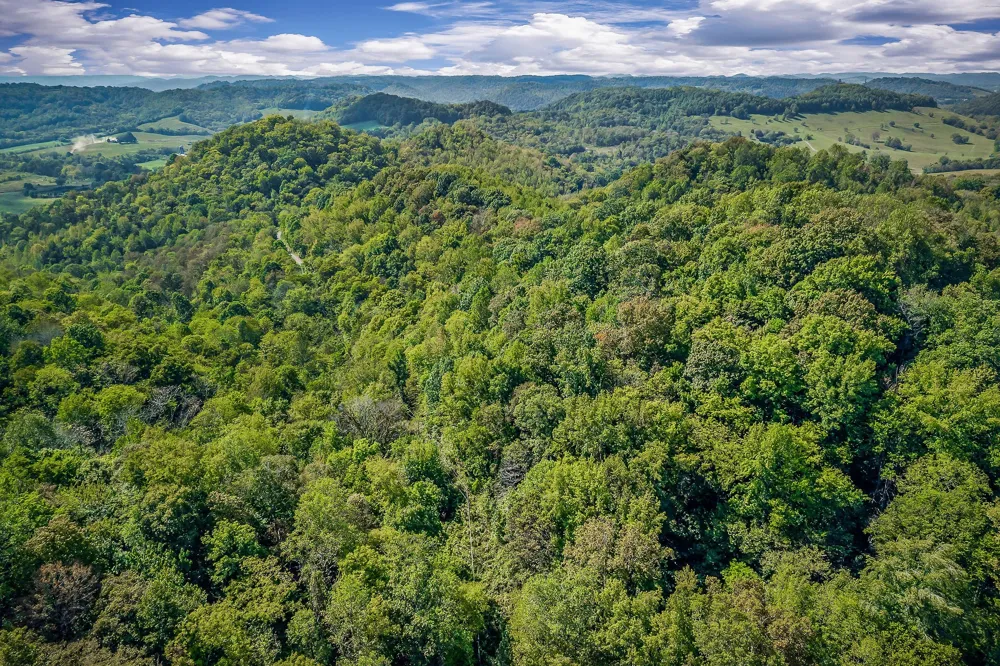 43 Moss Bend Ln Lancaster, TN 38569