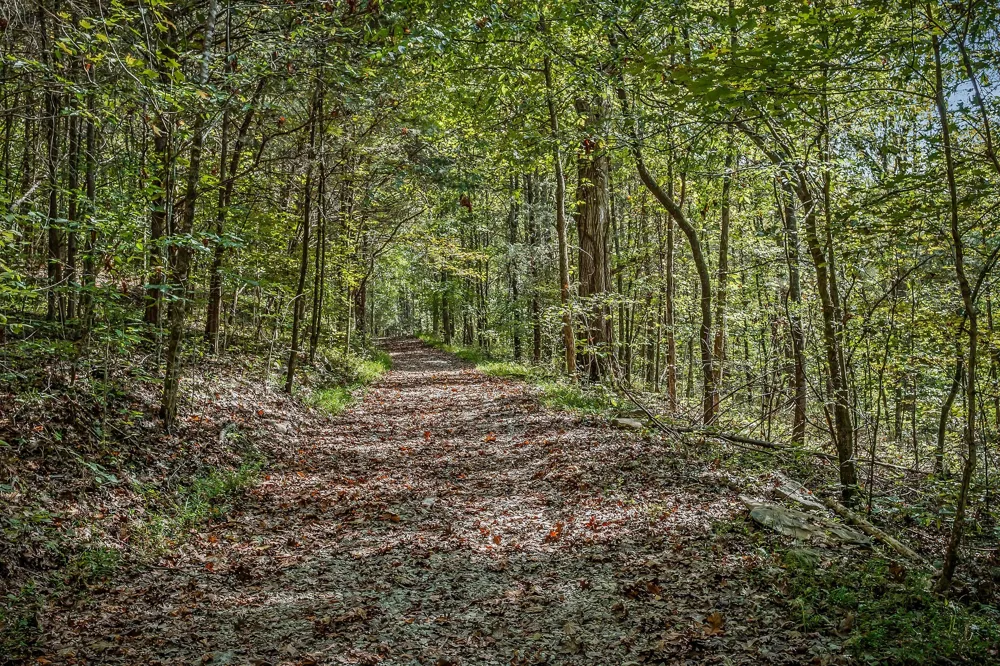 43 Moss Bend Ln Lancaster, TN 38569