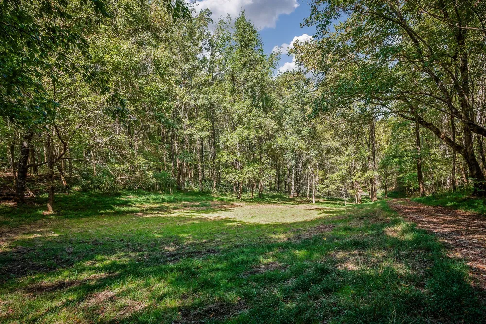 43 Moss Bend Ln Lancaster, TN 38569