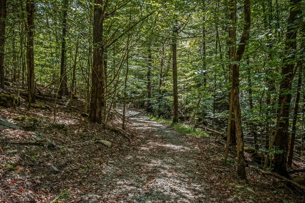 43 Moss Bend Ln Lancaster, TN 38569