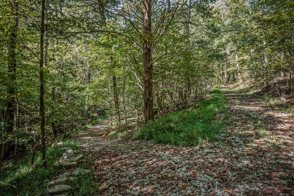 43 Moss Bend Ln Lancaster, TN 38569