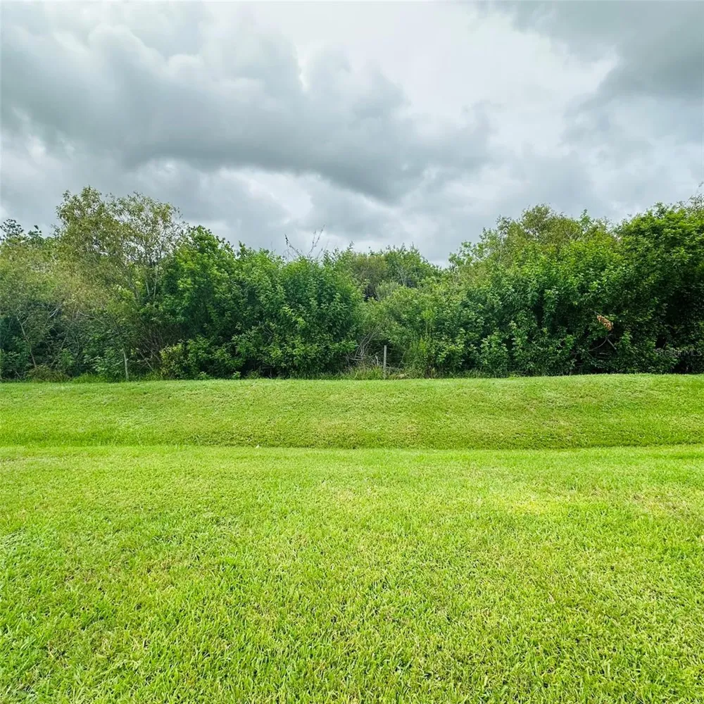 13412 SW PEMBROKE CIRCLE Lake Suzy, FL 34269