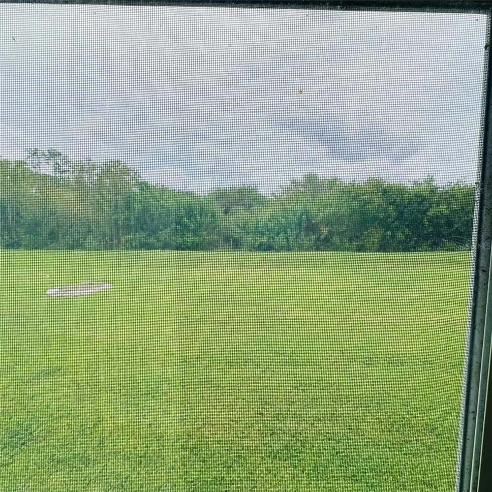 13412 SW PEMBROKE CIRCLE Lake Suzy, FL 34269