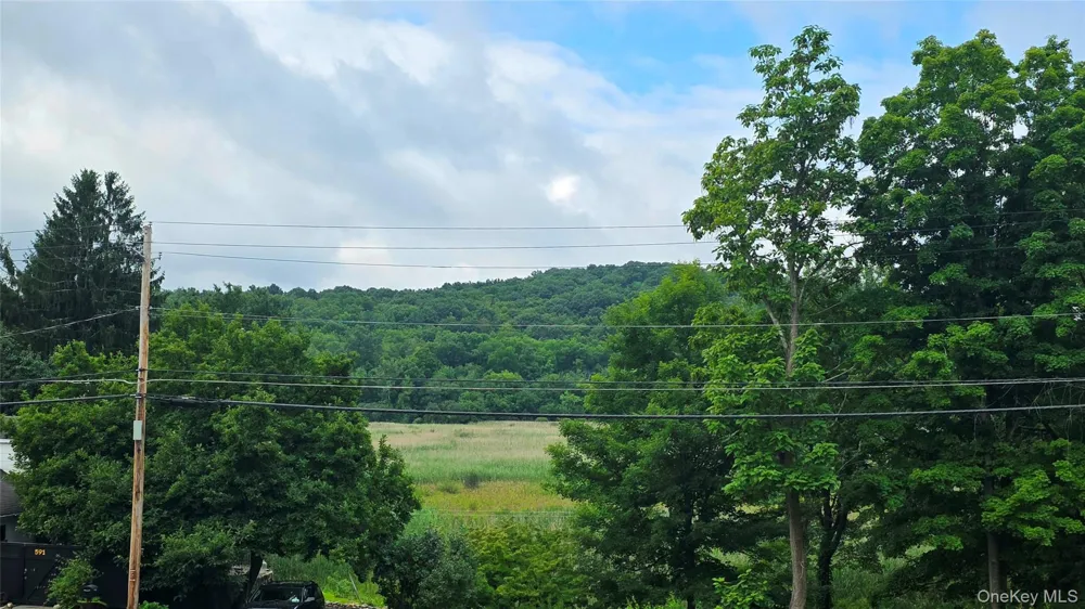 592 Ludingtonville Road Holmes, NY 12531