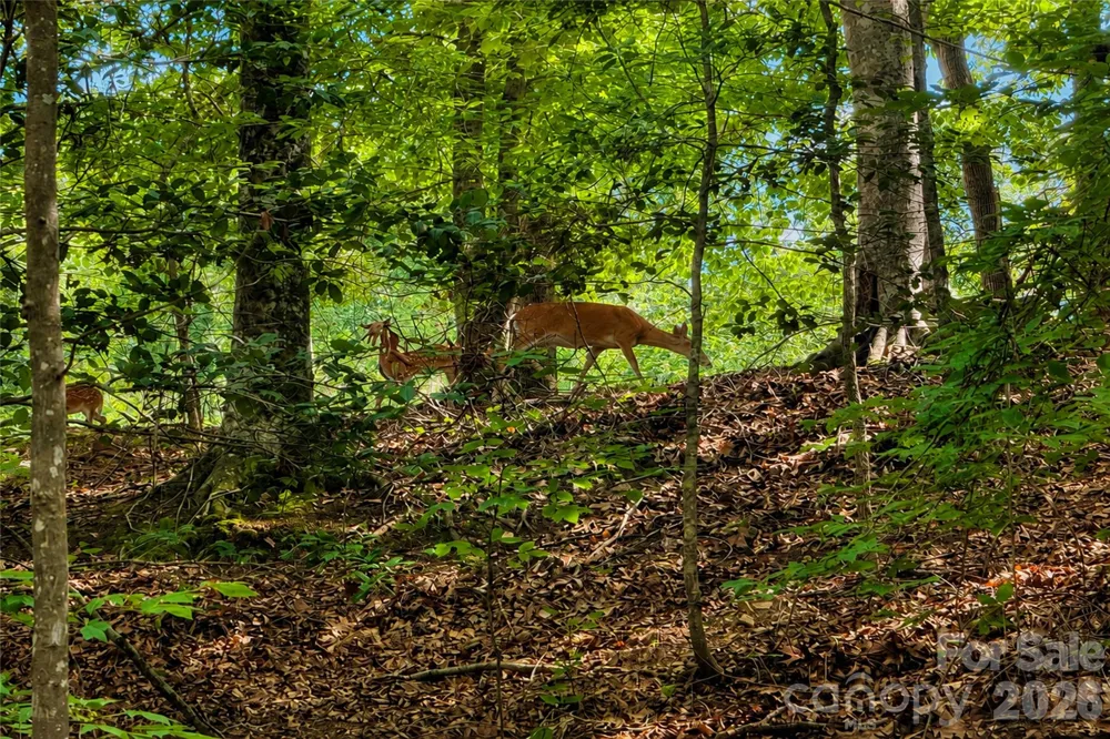 1147 Whispering Winds Drive Catawba, NC 28609