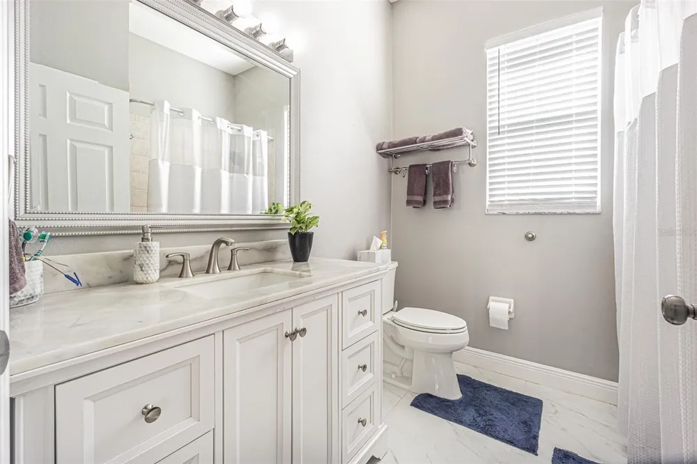 2409 FOX FOREST DRIVE Lutz, FL 33549