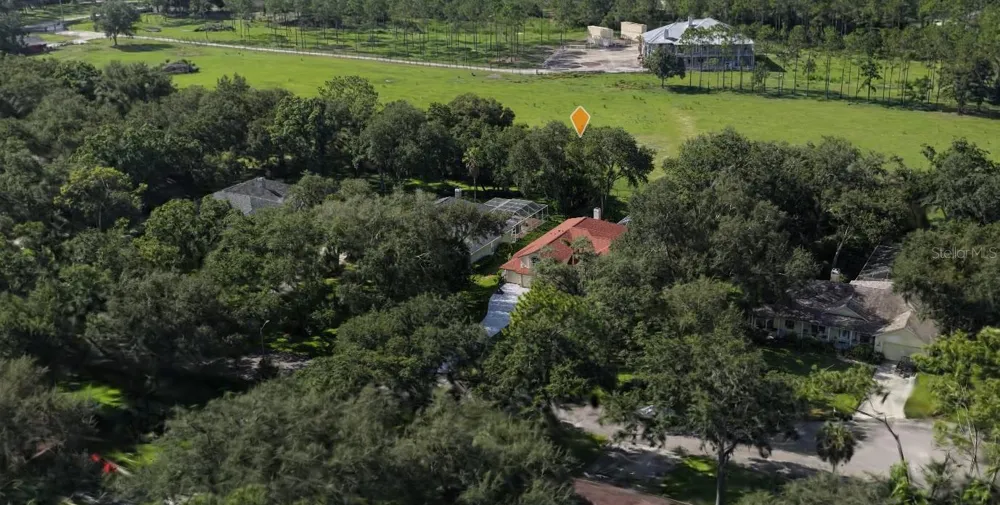 2409 FOX FOREST DRIVE Lutz, FL 33549