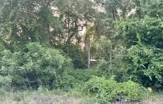 SE 11TH STREET Silver Springs, FL 34488