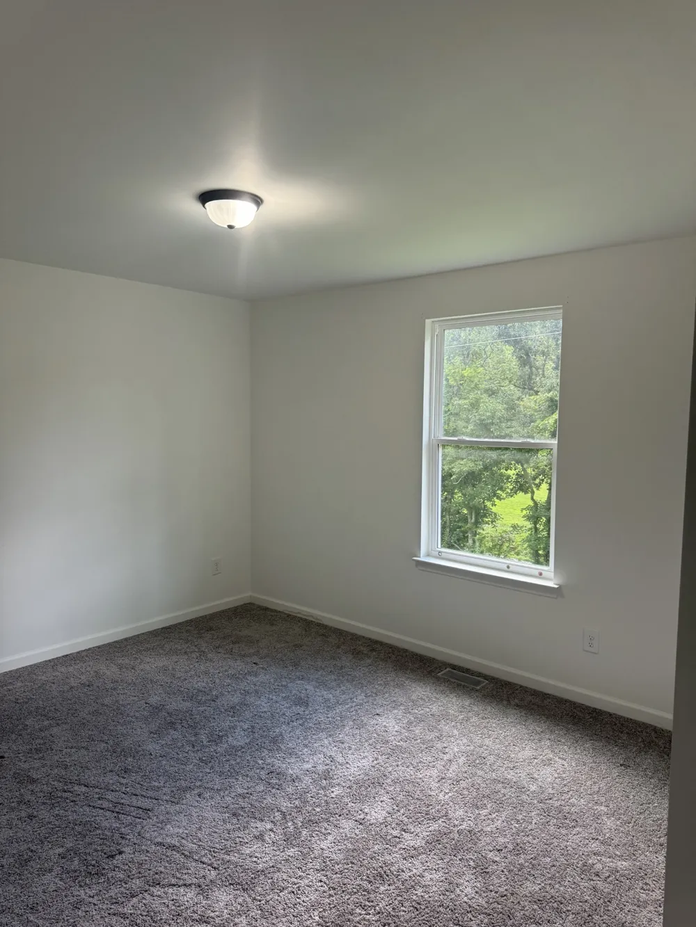 2065 Collier Rd Lewisburg, TN 37091