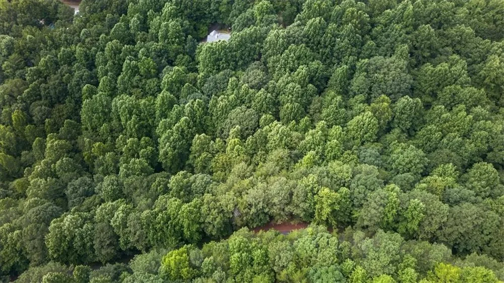 0 Ginger Drive Jasper, GA 30143