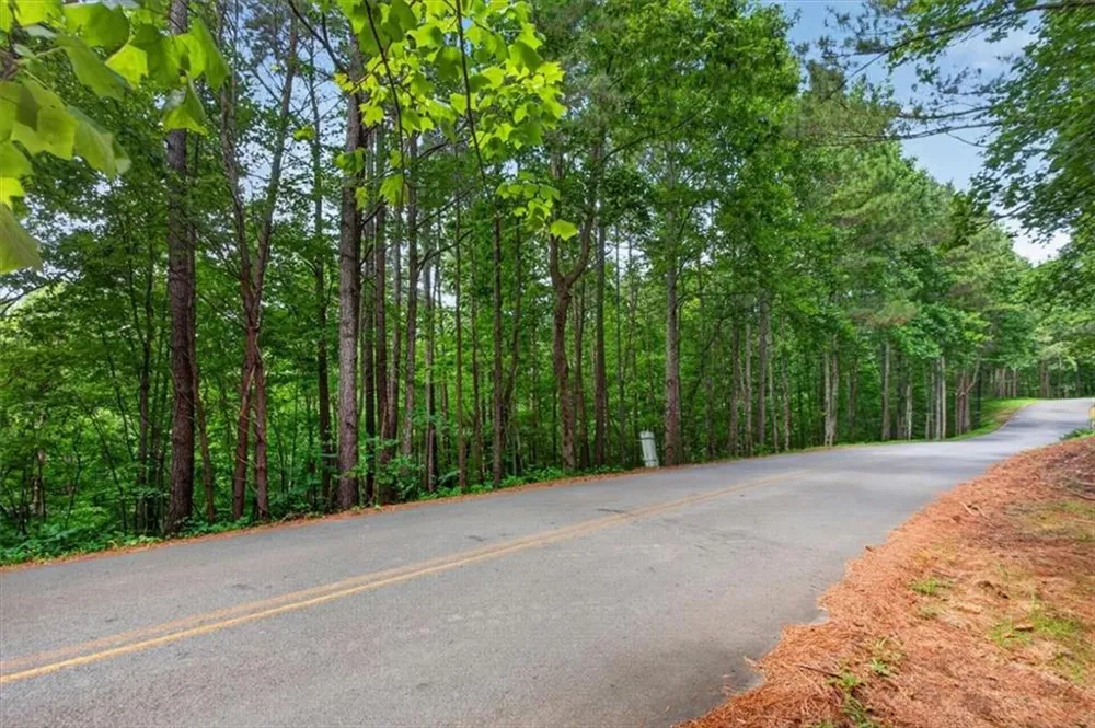 0 Ginger Drive Jasper, GA 30143