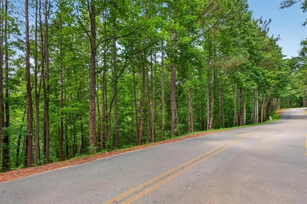0 Ginger Drive Jasper, GA 30143