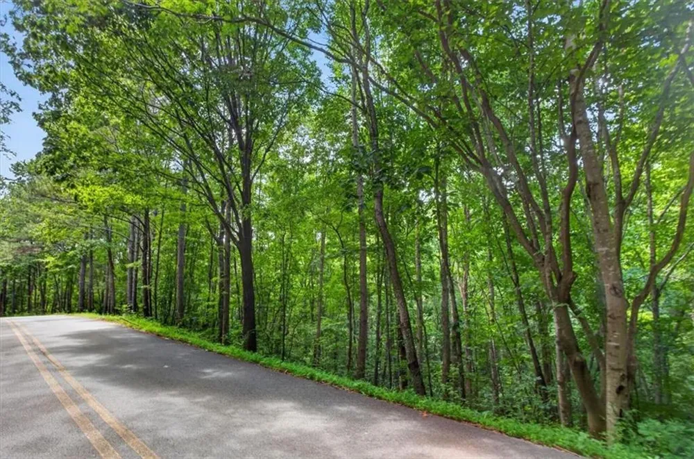 0 Ginger Drive Jasper, GA 30143