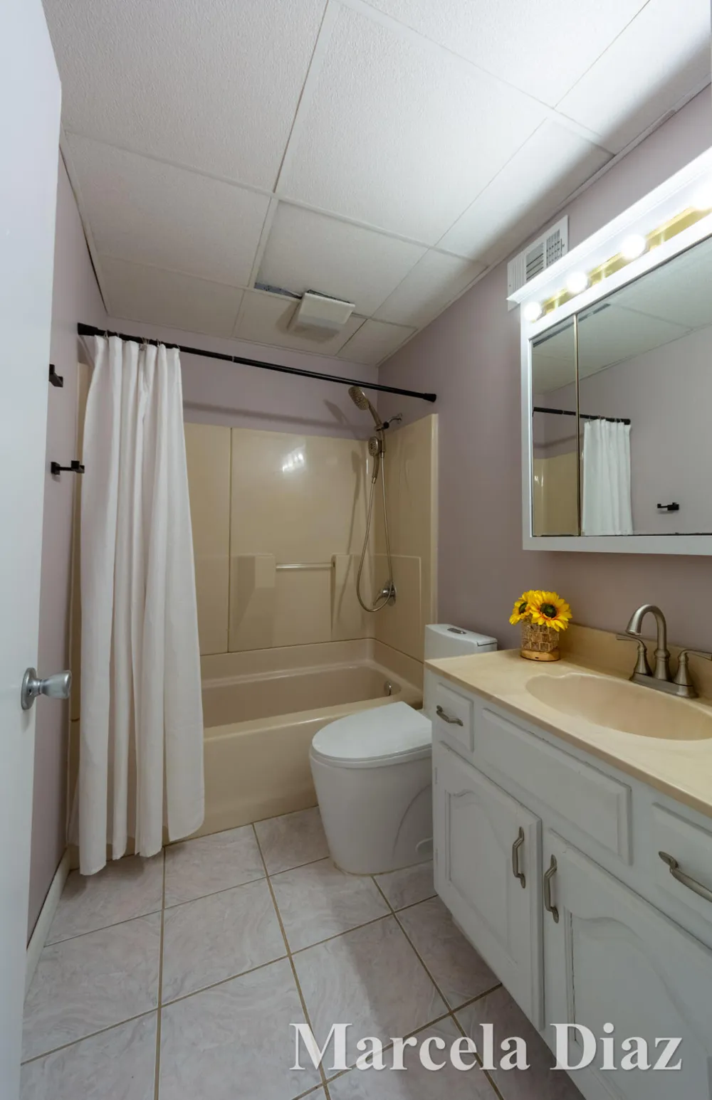 3431 Tricklewood Drive SE Cascade Charter Township, MI 49546