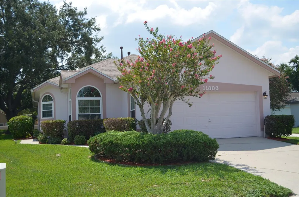 11333 PINK BLOSSOM COURT Orlando, FL 32821