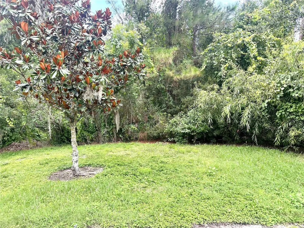 11773 BELLA MILANO COURT Windermere, FL 34786
