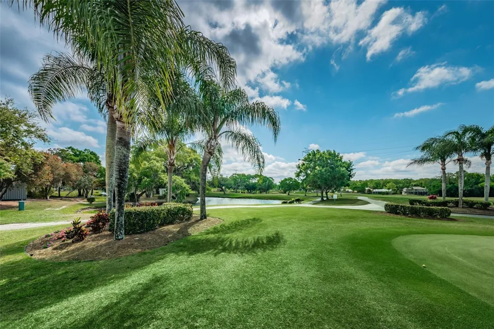 222 CARYL WAY Oldsmar, FL 34677