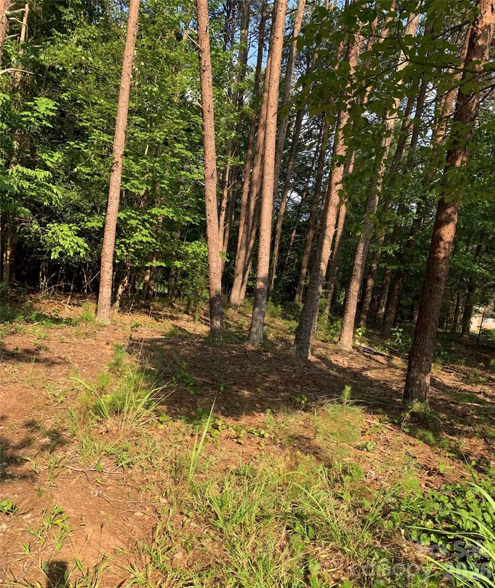 0 Rock House Road Blacksburg, SC 29702