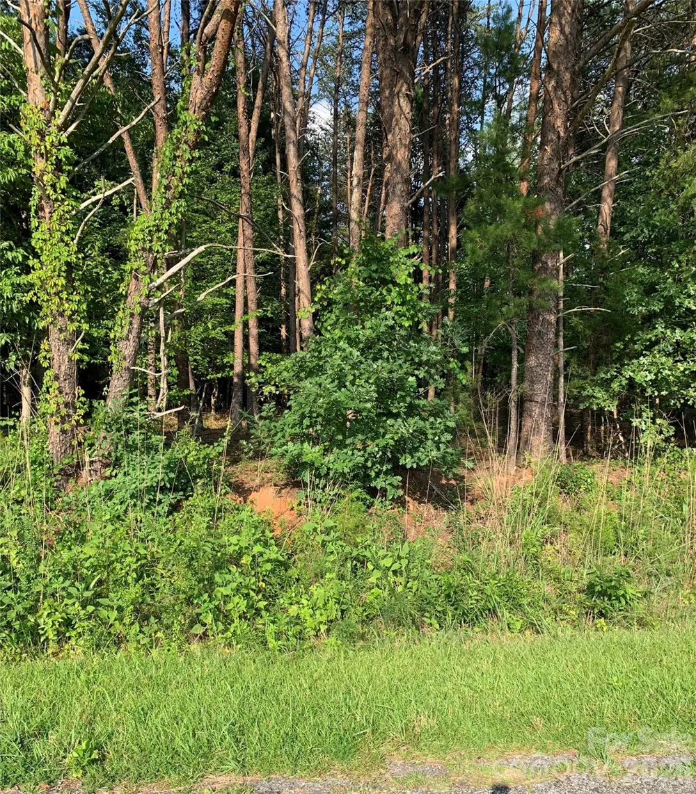 0 Rock House Road Blacksburg, SC 29702