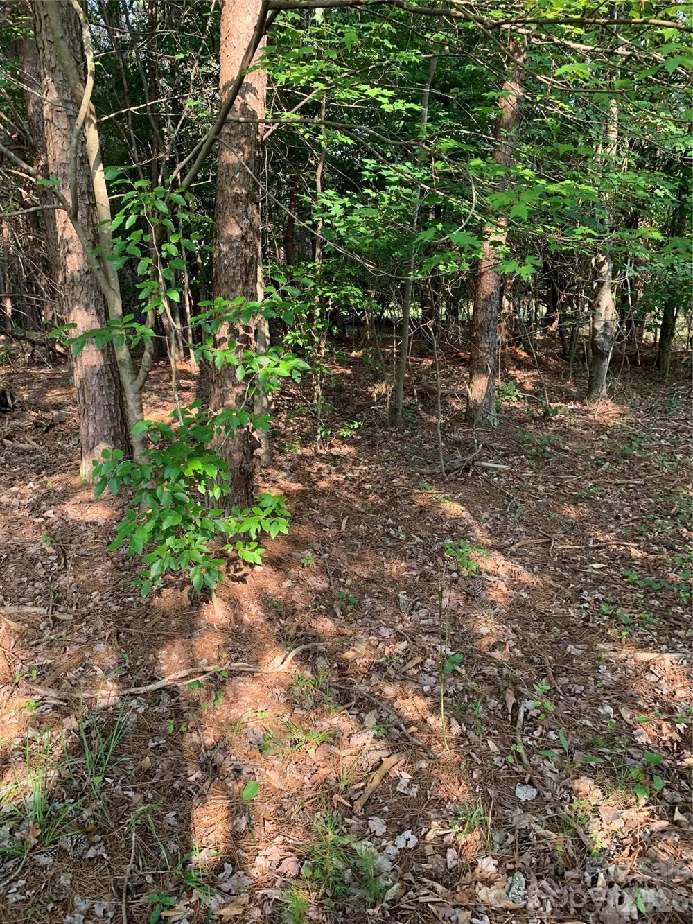 0 Rock House Road Blacksburg, SC 29702