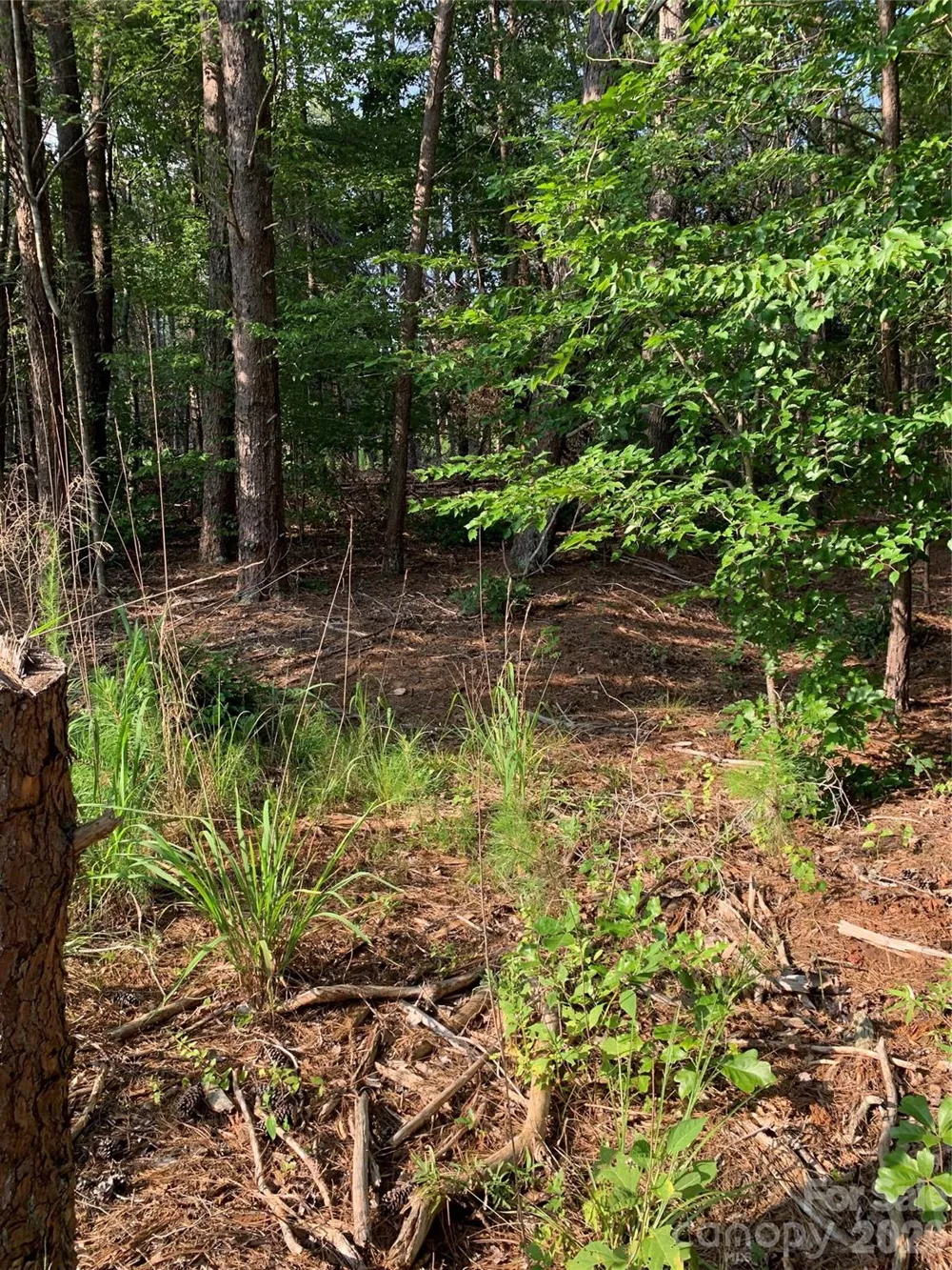 0 Rock House Road Blacksburg, SC 29702