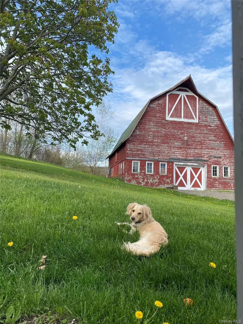314 Schoolhouse Road Ghent, NY 12017
