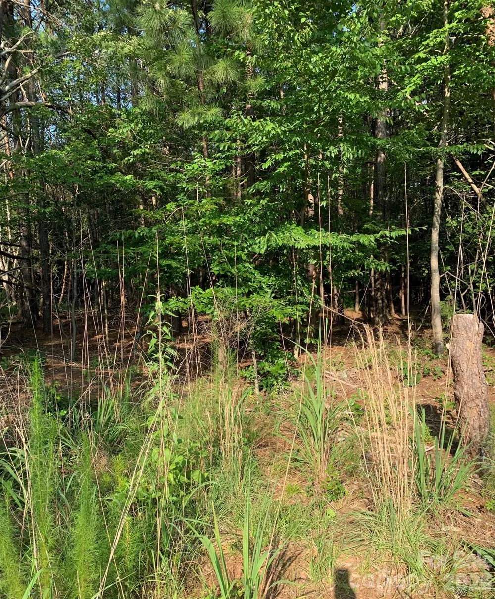 0 Rock House Road Blacksburg, SC 29702