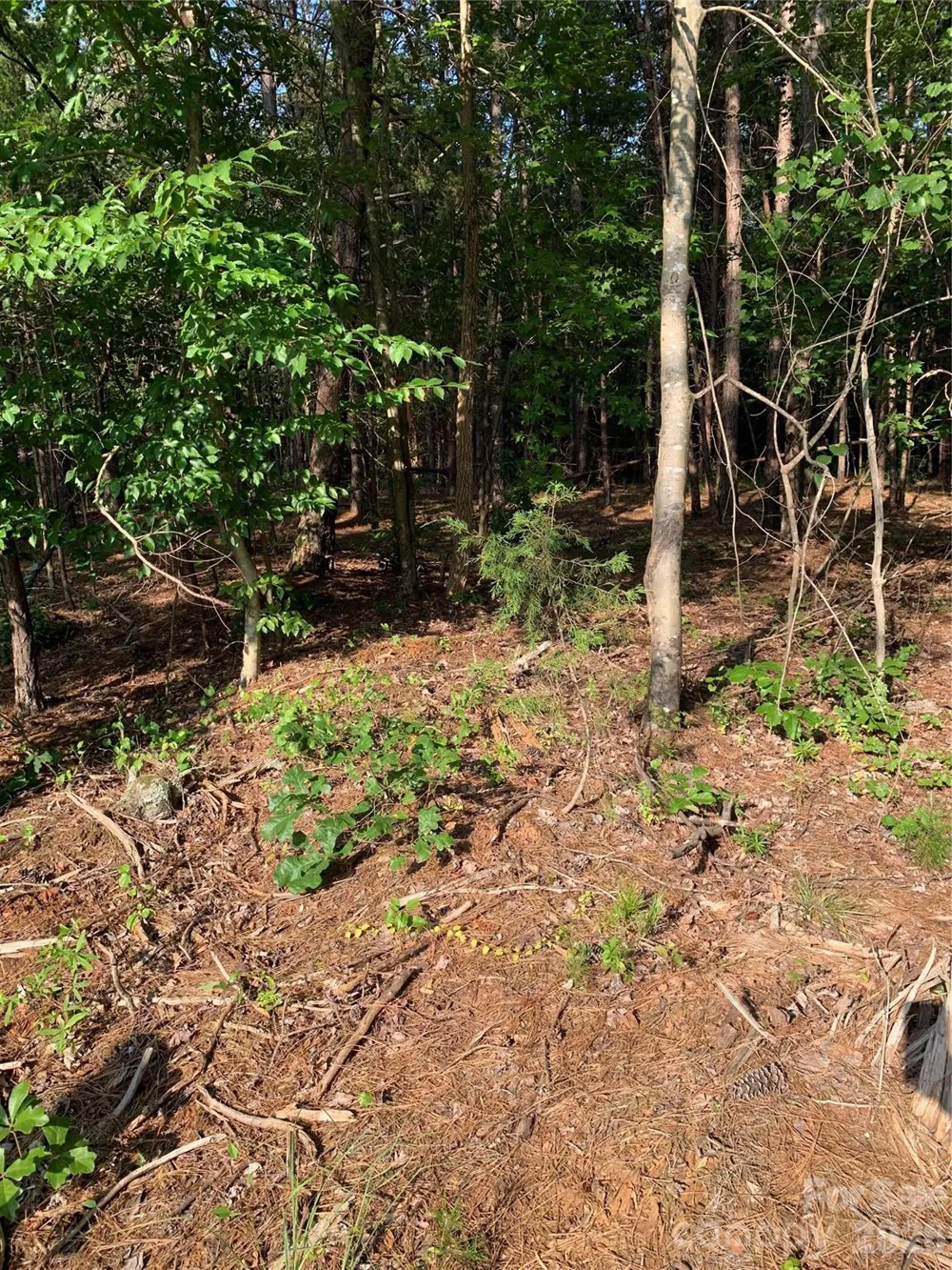 0 Rock House Road Blacksburg, SC 29702