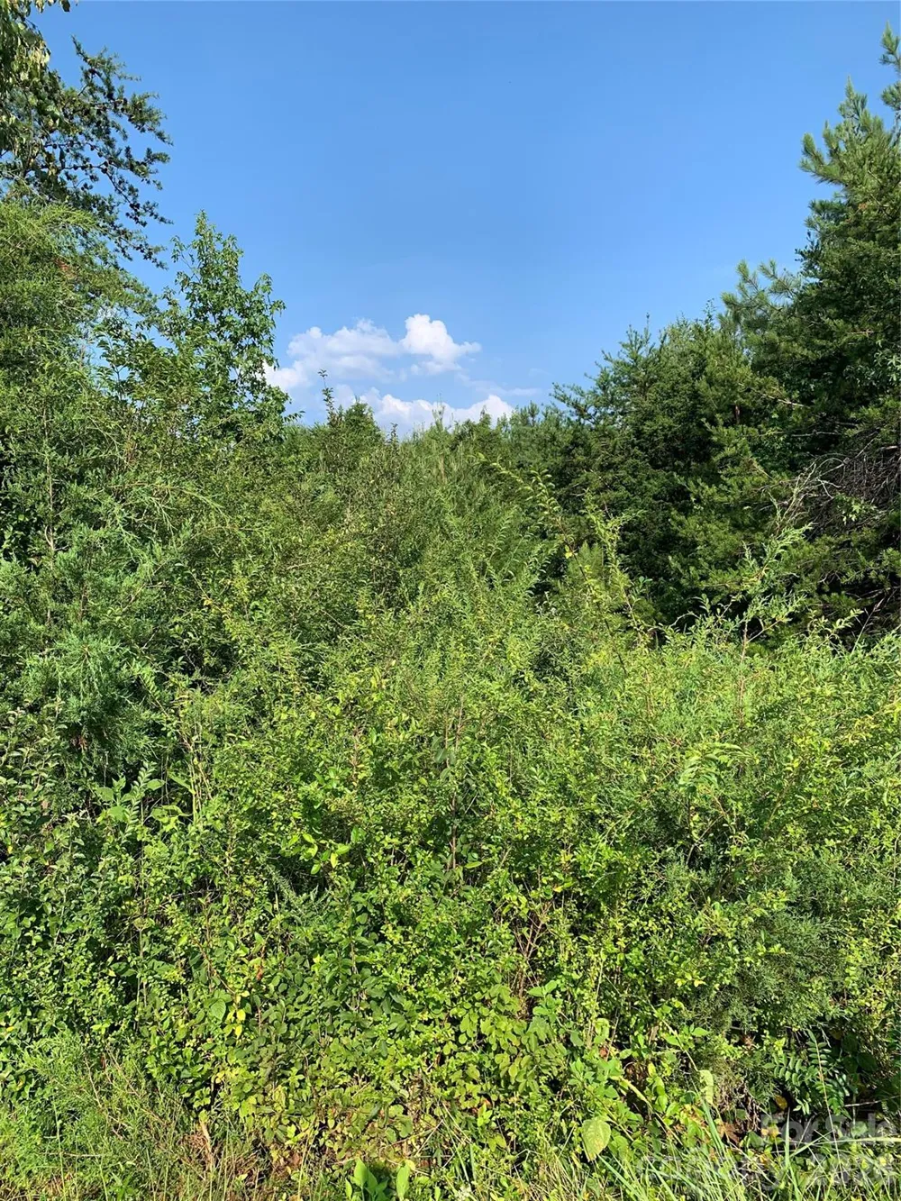 0 Rock House Road Blacksburg, SC 29702