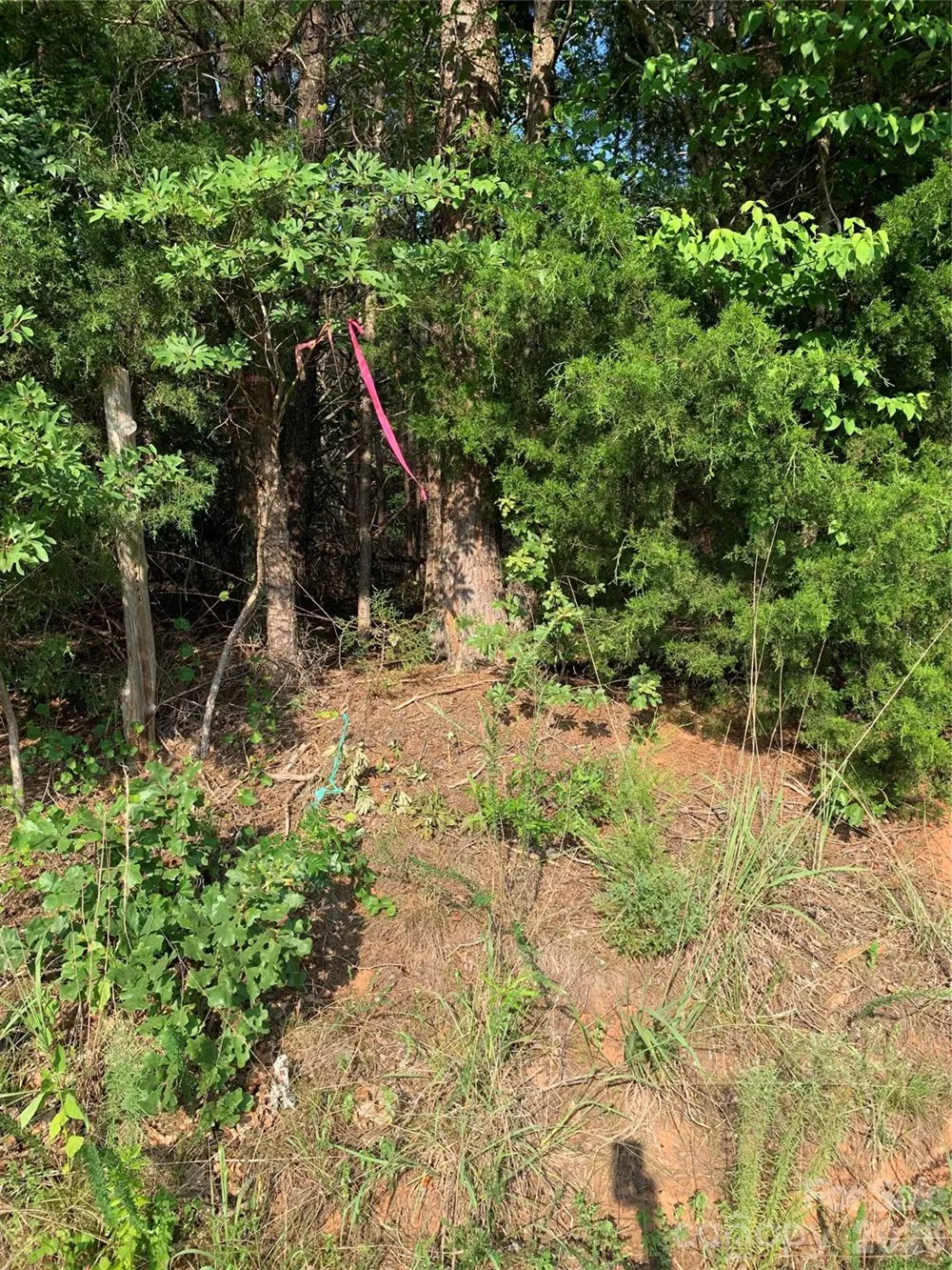 0 Rock House Road Blacksburg, SC 29702