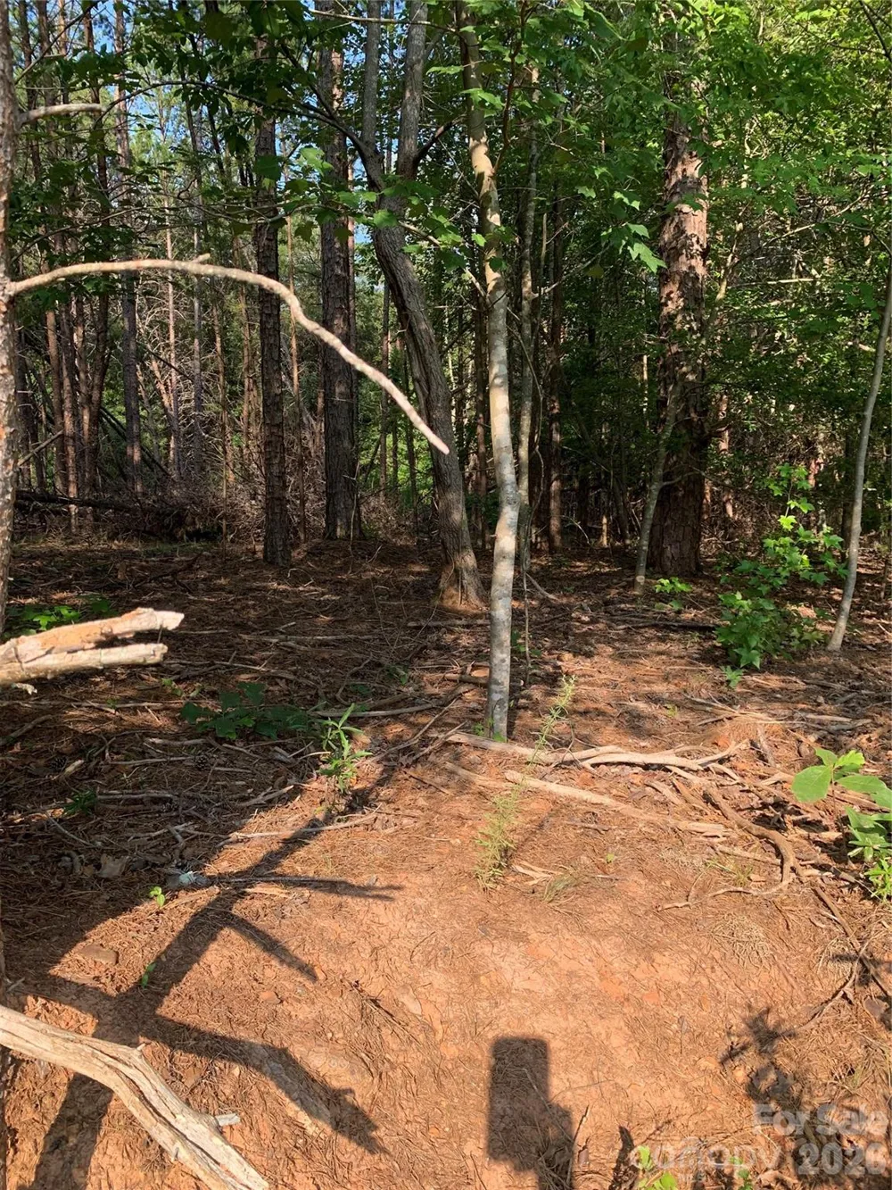 0 Rock House Road Blacksburg, SC 29702