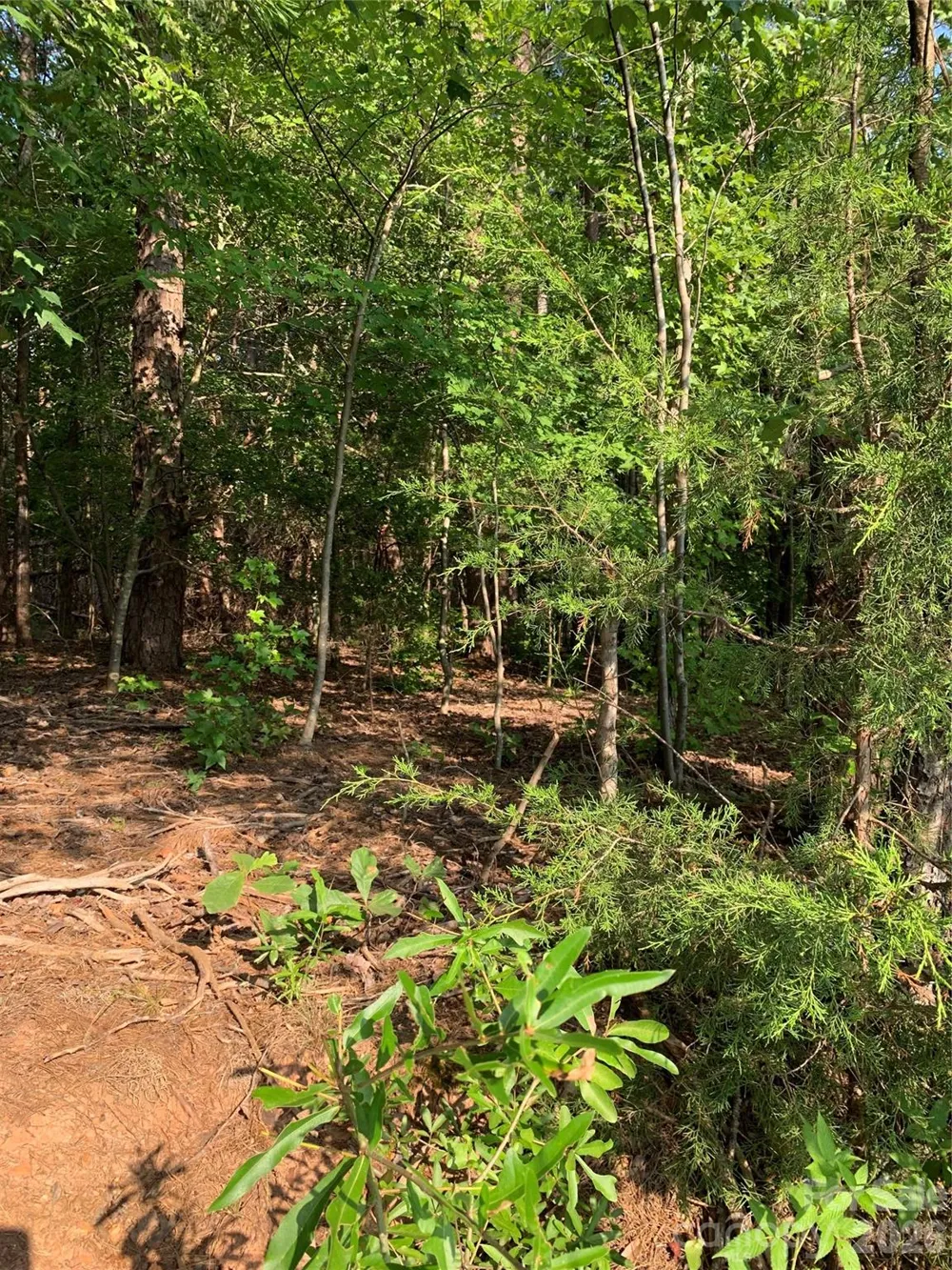 0 Rock House Road Blacksburg, SC 29702