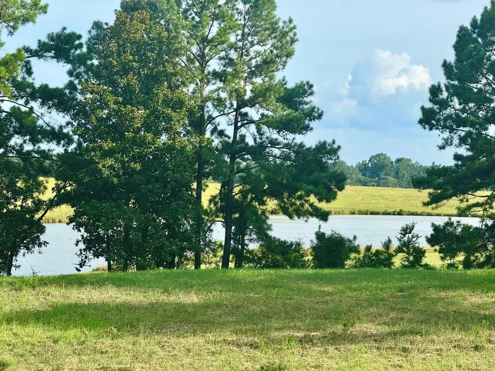 344 Lakeland Ranch Hillister, TX 77624