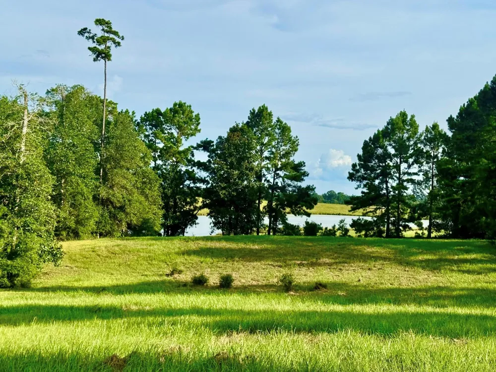 344 Lakeland Ranch Hillister, TX 77624