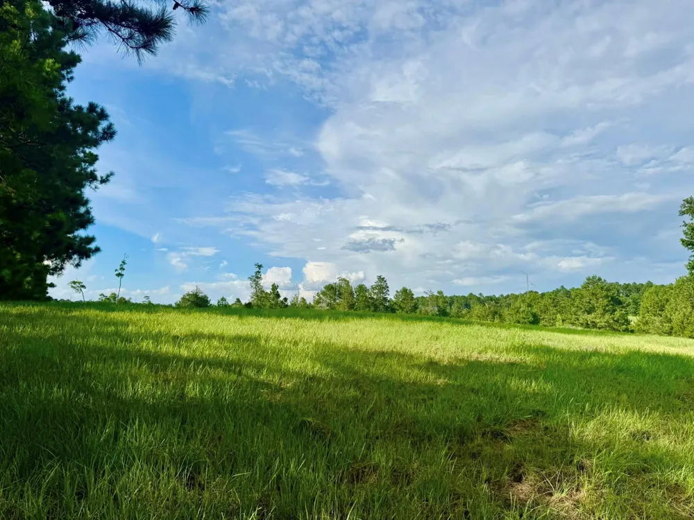 344 Lakeland Ranch Hillister, TX 77624