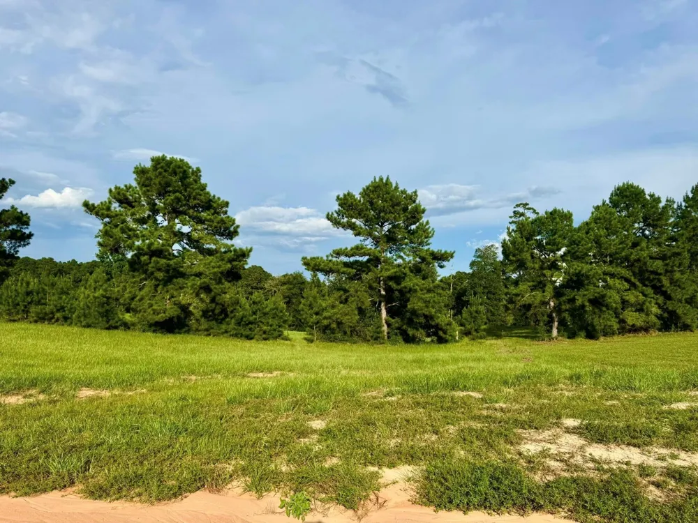 344 Lakeland Ranch Hillister, TX 77624